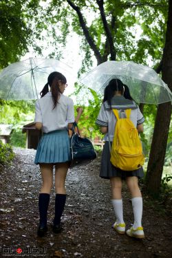 女人花台湾版